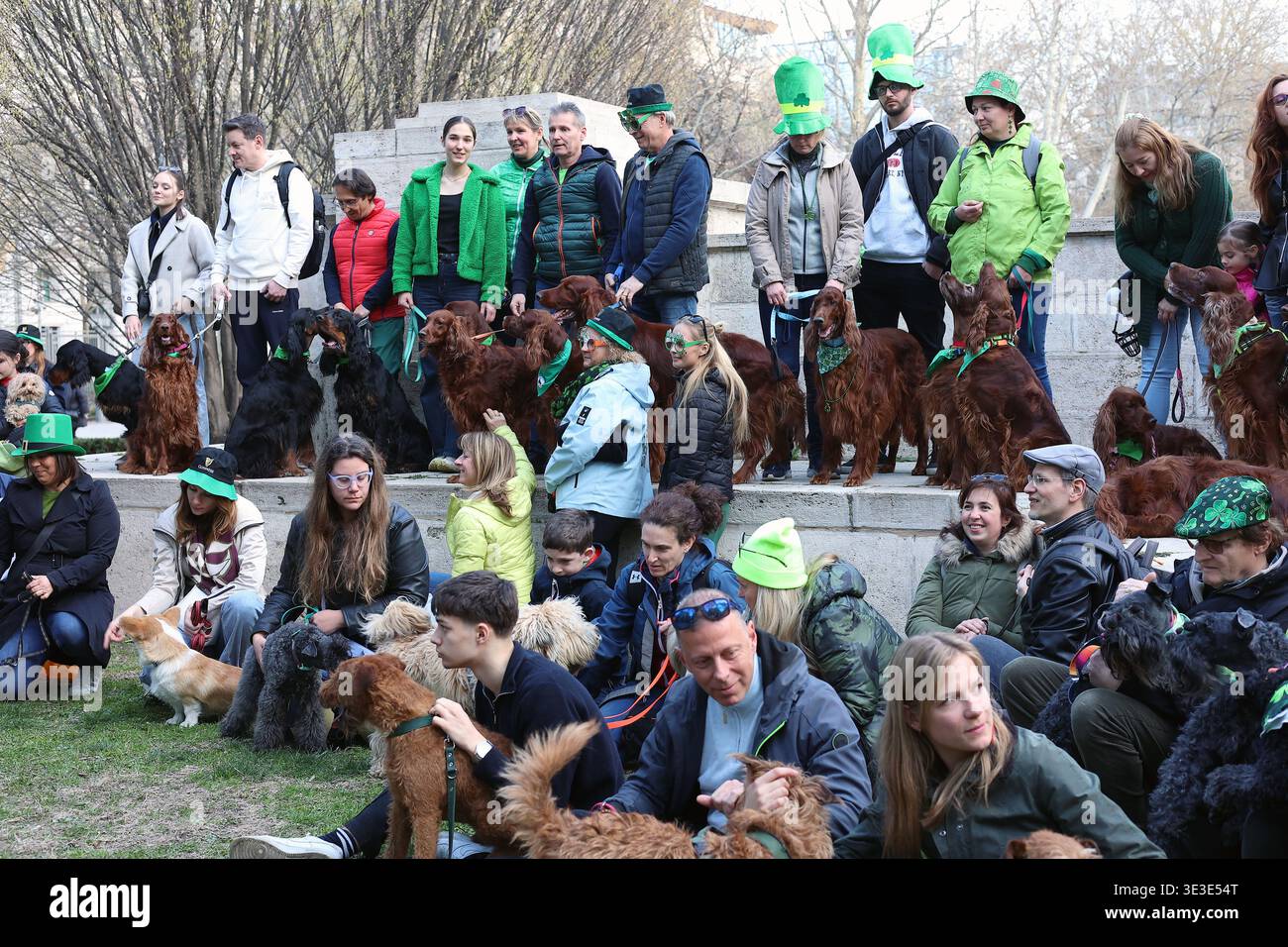 Irish dog breed owners gathering at St Patrick's Day Festival and Parade in Budapest, Hungary Stock Photo