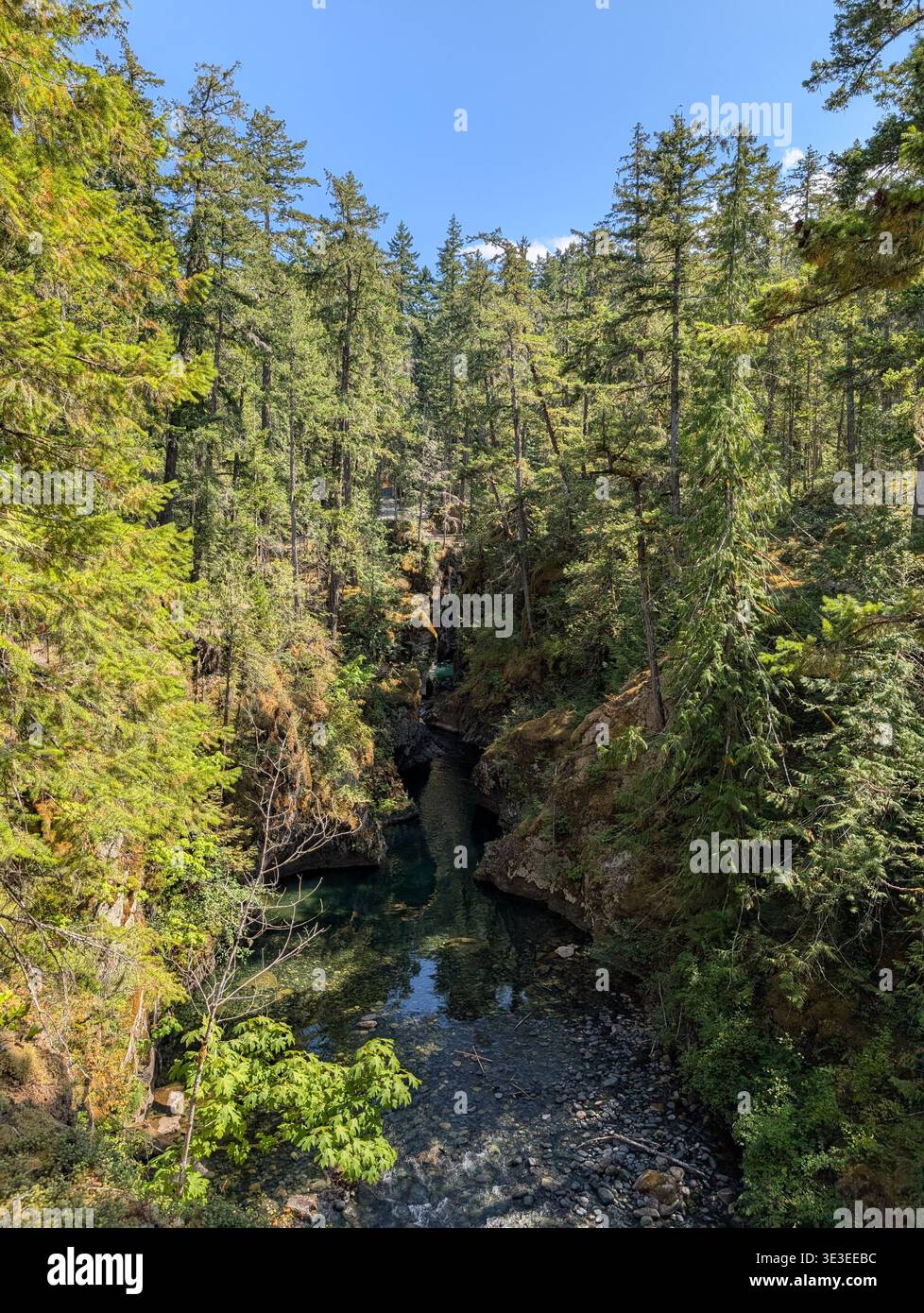 Natural river with waterfall among the forest in the mountains of Vancouver Island in summer on a sunny day sunny Little Qualicum falls, BC, Canada Stock Photo