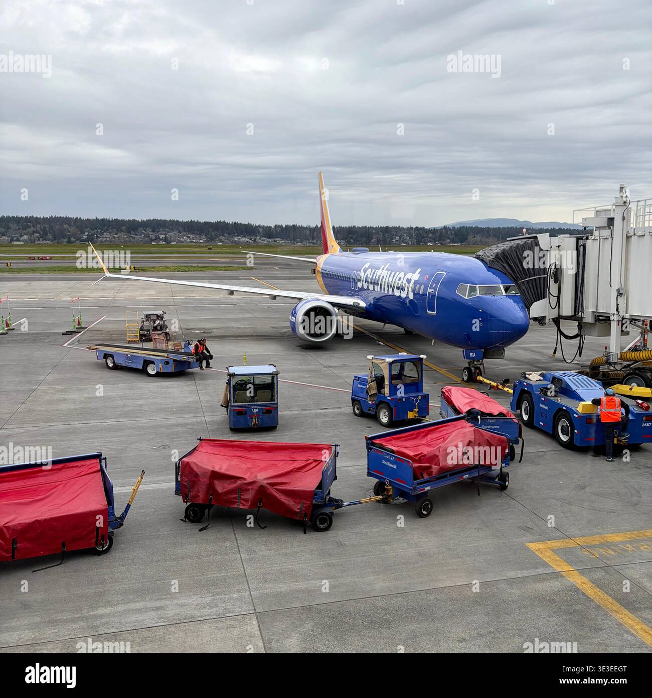 A Southwest Airlines' jet gets serviced while  on the ground. - Smartphone Captured Stock Image
