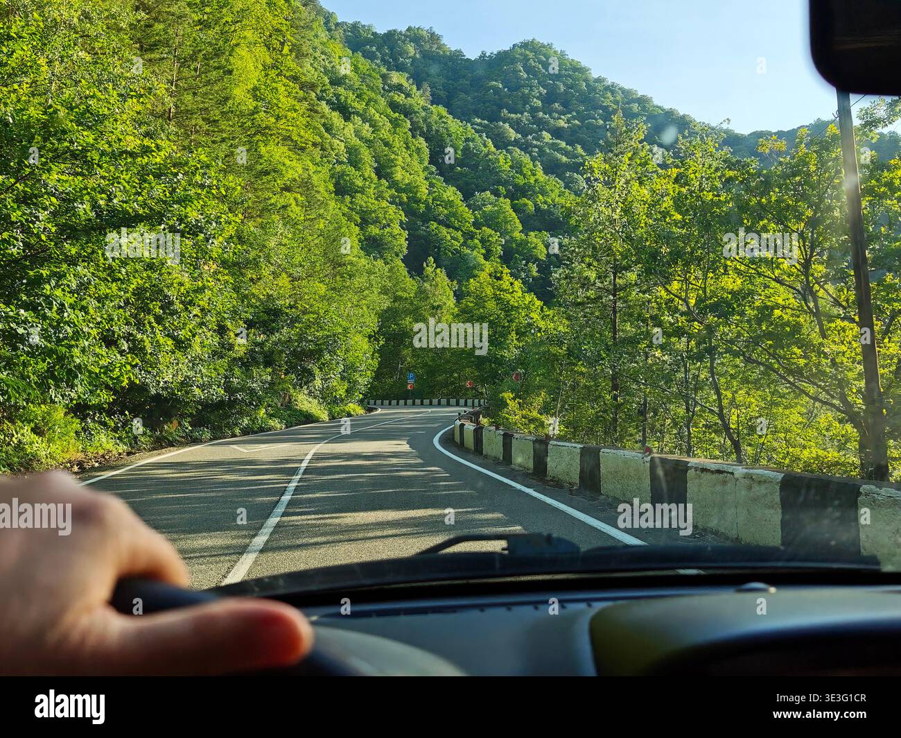 Car is moving along a winding road surrounded by green trees and ...