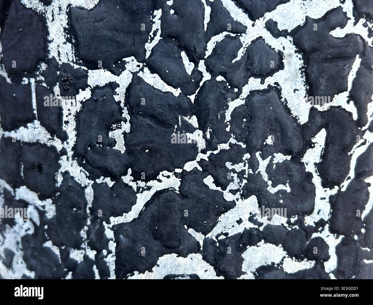 Abstract black and white textured surface with irregular organic pattern Stock Photo