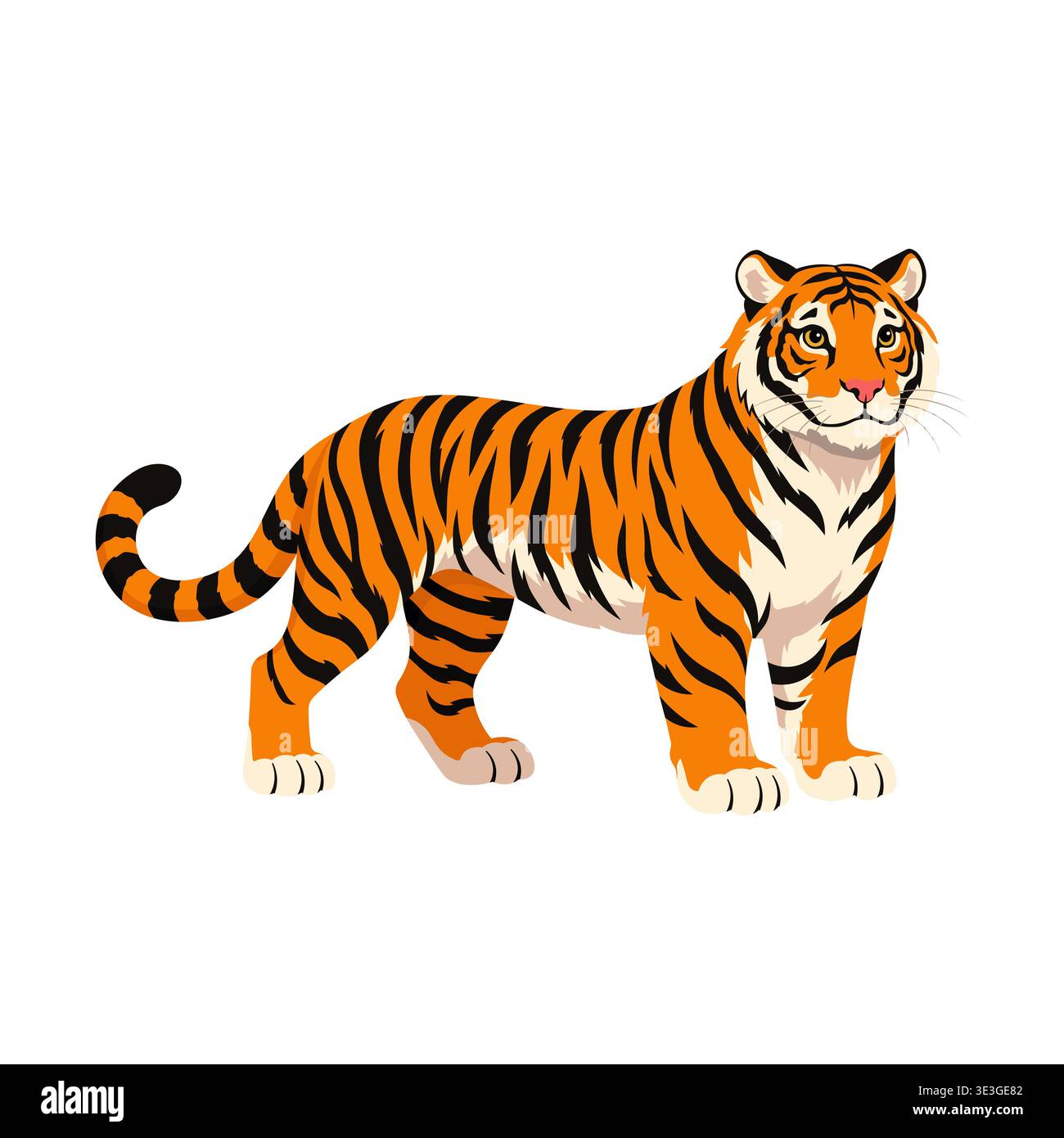 vector tiger illustration on white background. Stock Vector
