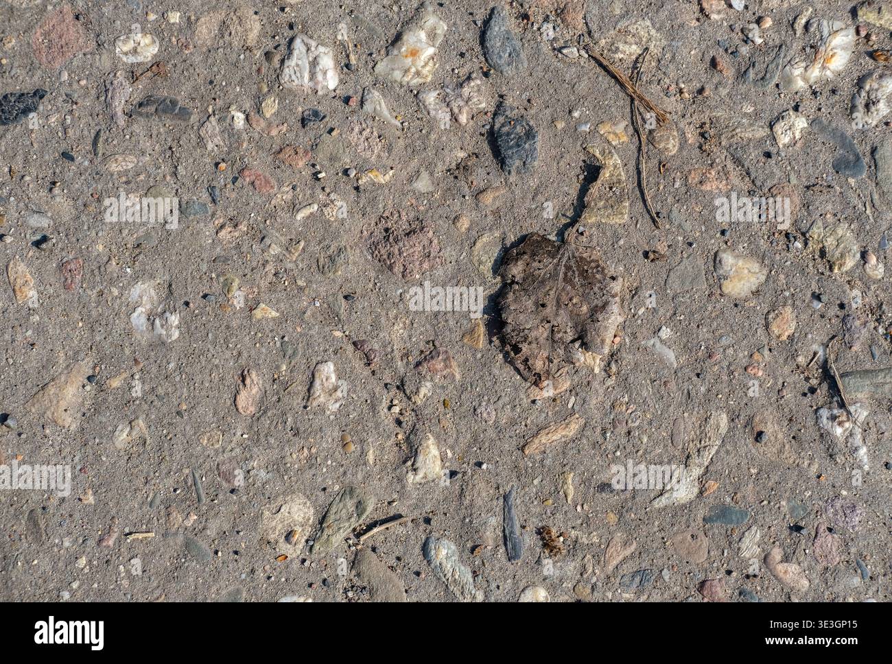Rough ground surface with embedded stones and debris is shown as natural textured background Stock Photo