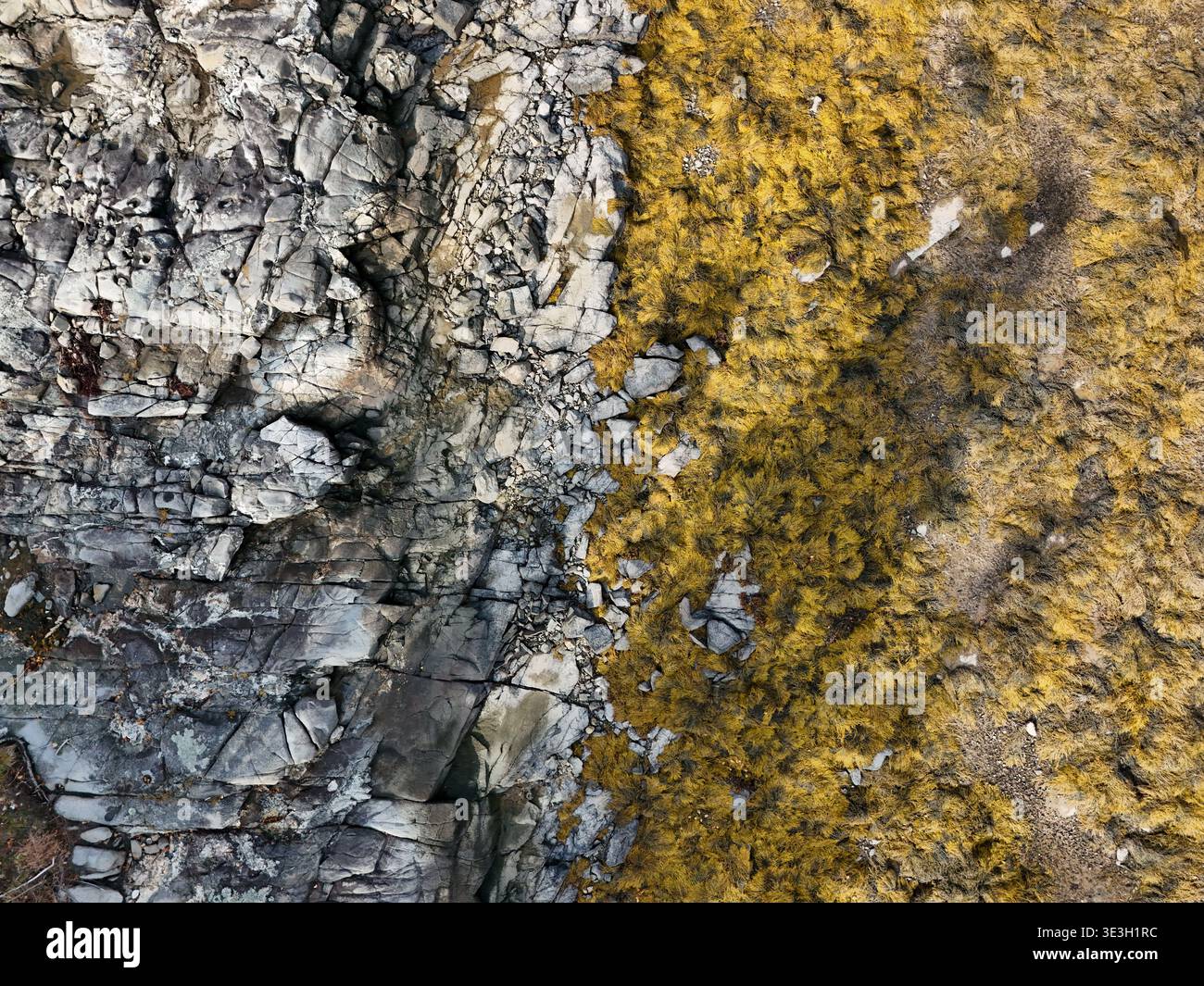 Frank harrington hi-res stock photography and images - Alamy