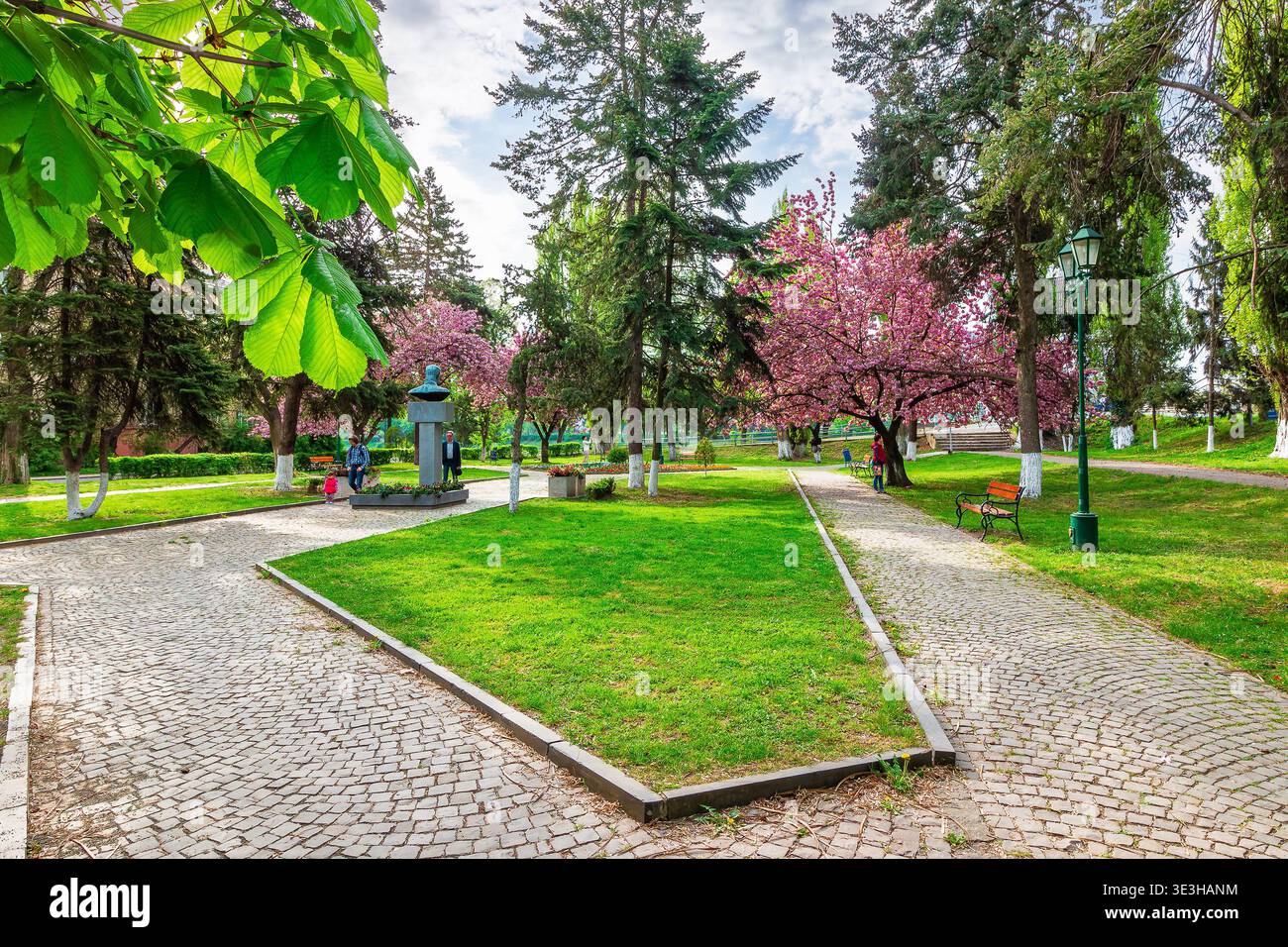uzhhorod, ukraine - 26 apr 2015: area of the old city park with lantern near bench under japanese cherry tree in blossom. urban landscape in spring. s Stock Photo