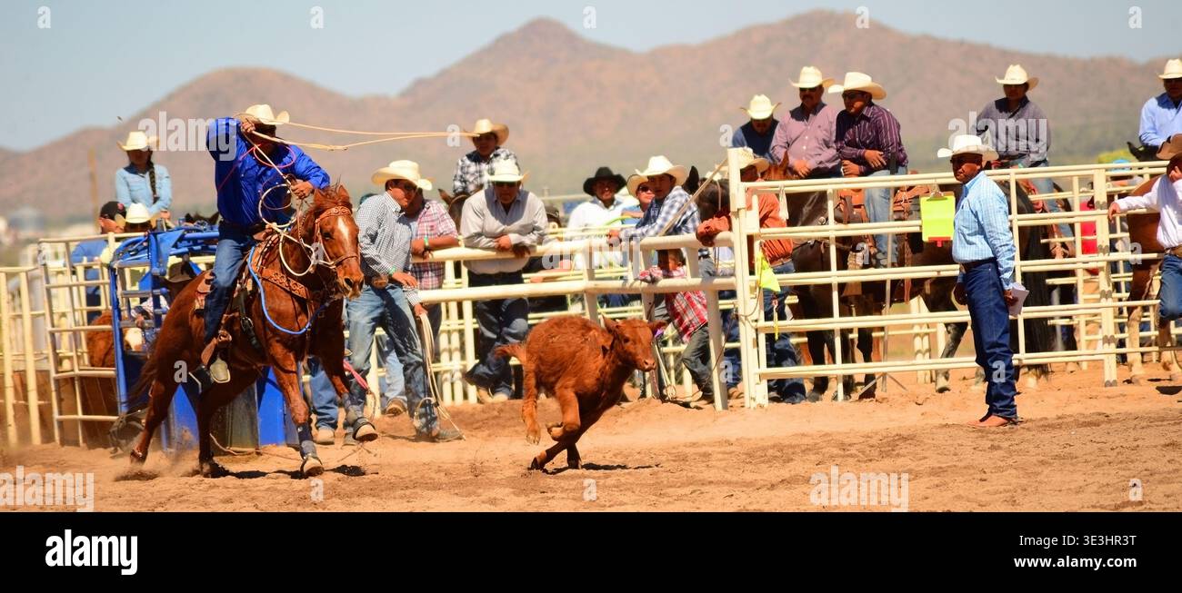 Reservation Rodeo Rodeo Cowboy competition Sacaton, Arizona United States Gila River ...