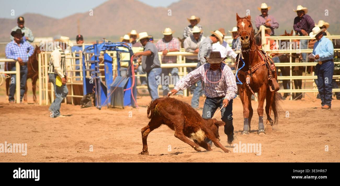 Reservation Rodeo Rodeo Cowboy competition Sacaton, Arizona United States Gila River ...