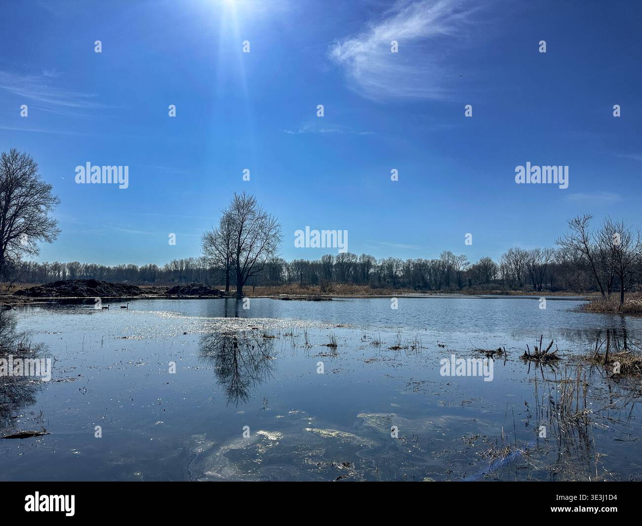 A lake in a migratory bird sanctuary in Northwest Indiana USA in early spring - Smartphone Captured Stock Image