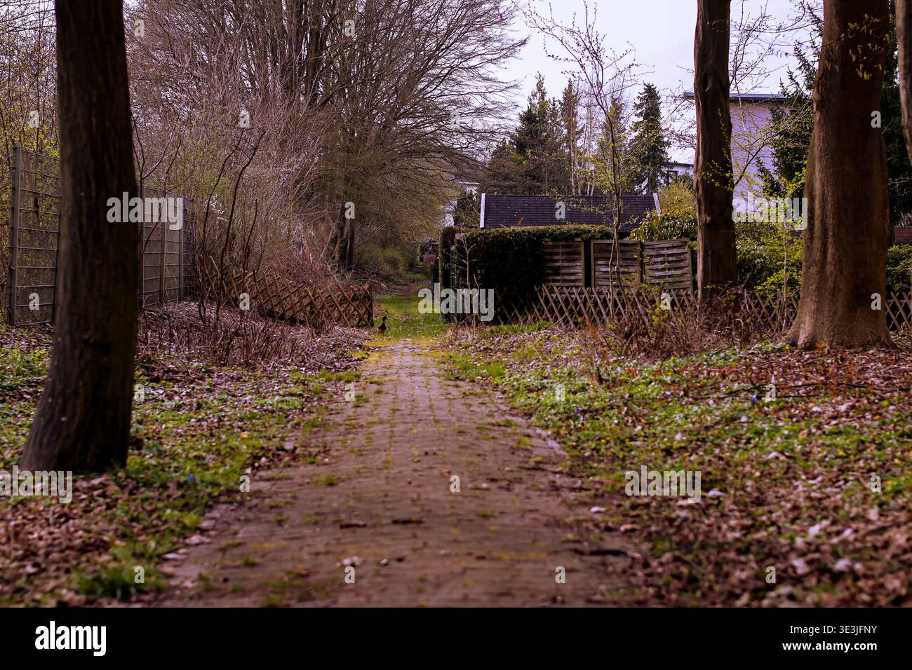 A narrow, weathered brick path winds through a quiet, overgrown garden area Stock Photo
