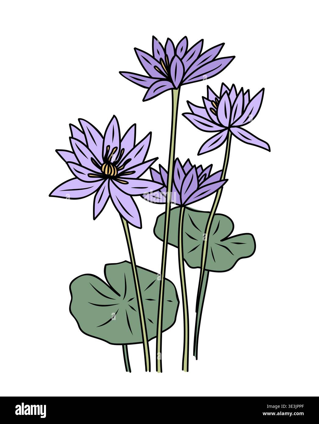 Hand drawn water lily colored with outline Stock Vector