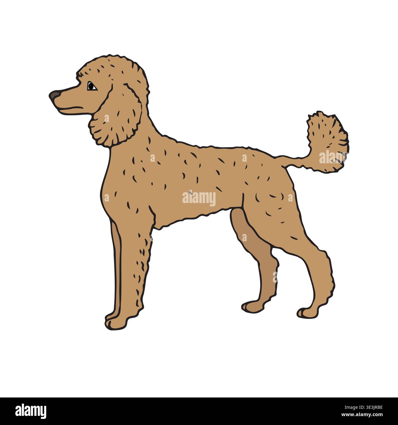 Vector hand drawn sketch doodle colored poodle dog Stock Vector