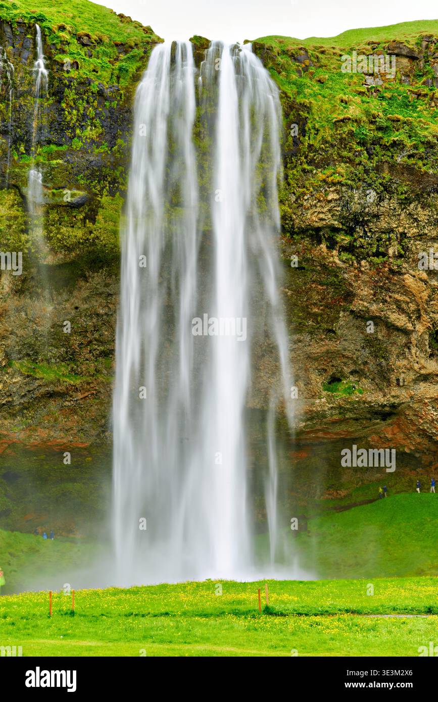 Seljalandsfoss waterfall flows down rocky cliffs, surrounded by green grass. Visitors stand nearby and enjoy the view and mist from the falls. Stock Photo
