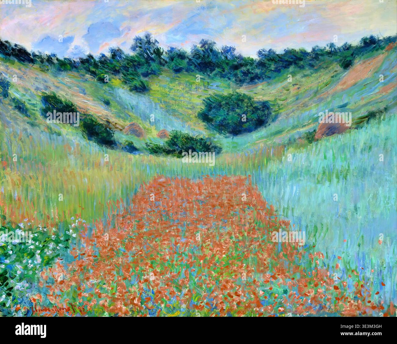 Claude monet poppy field hi-res stock photography and images - Alamy