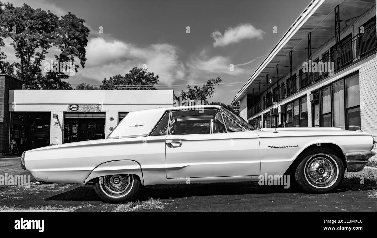 Ford Thunderbird (1964) in vendita a 39.950