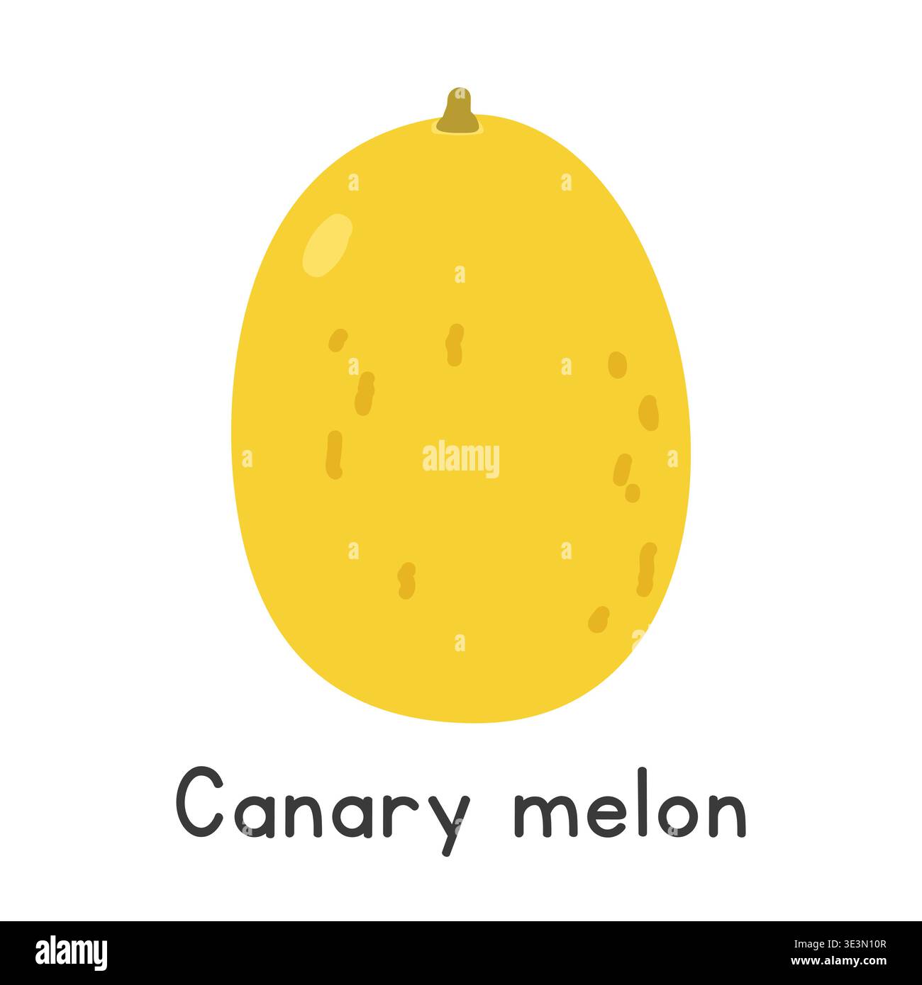 Canary melon flat vector illustration. Yellow Canary melon cartoon clipart style isolated on white background. Melon and Gourd concept Stock Vector