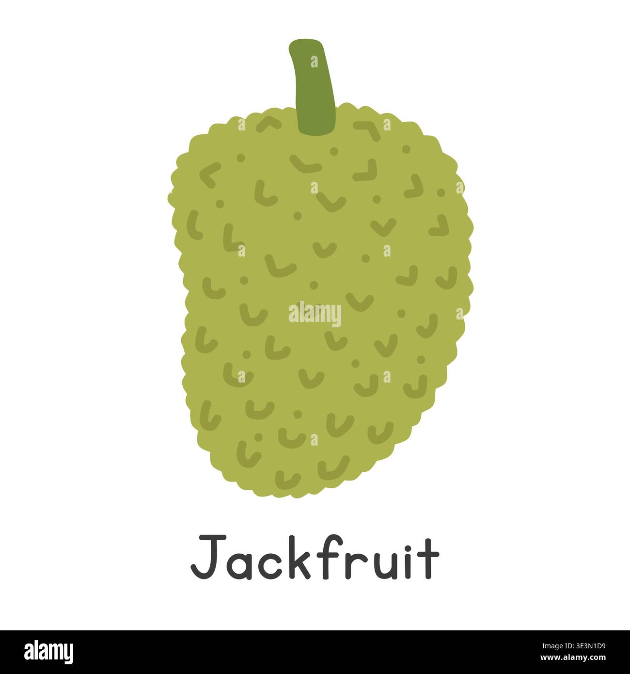 Jackfruit flat vector illustration. Jackfruit cartoon clipart style isolated on white background. Also known as jack, jak, nangka, kathal, jaca Stock Vector