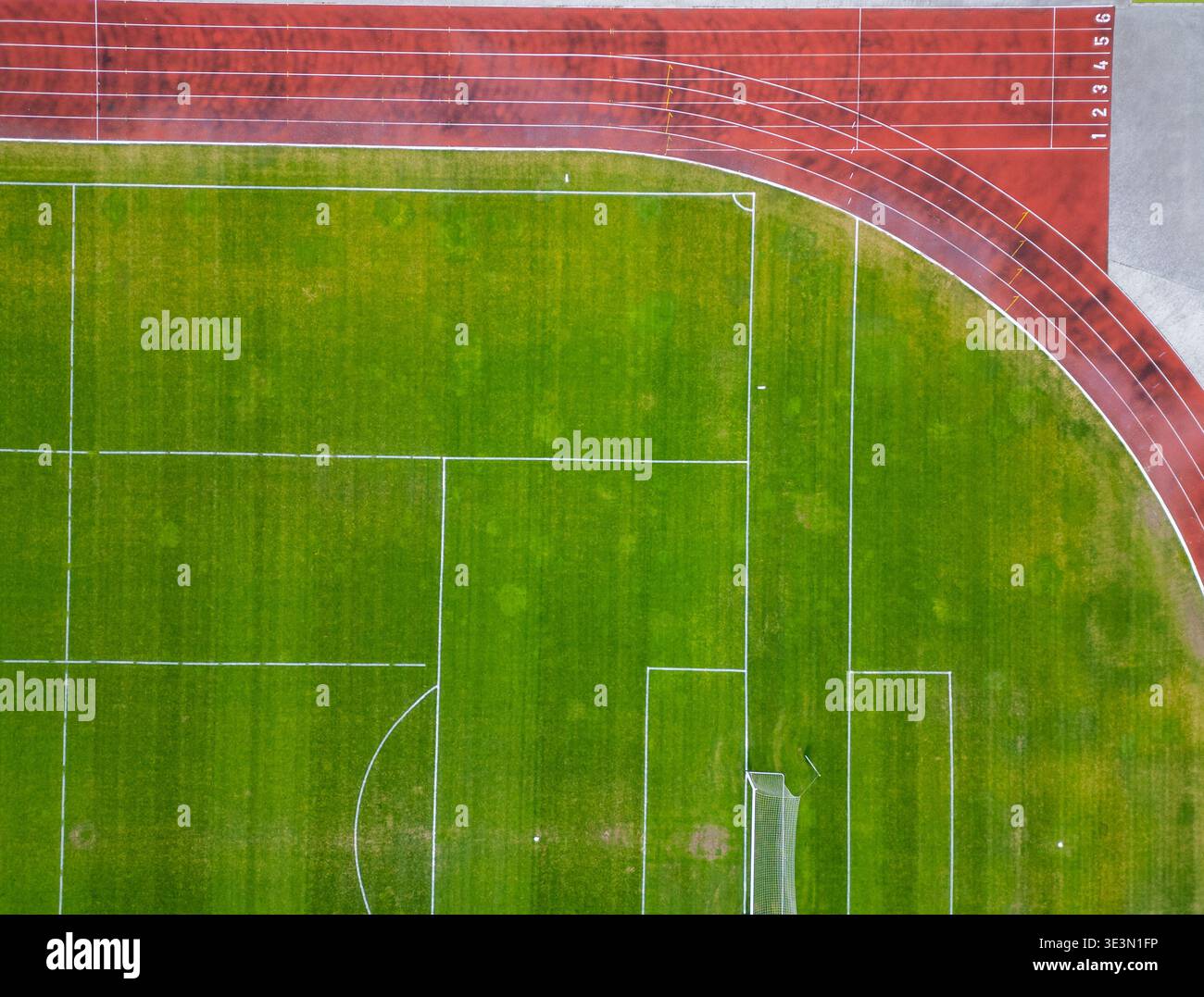 Amazing HD Photos about  Soccer Com Track Order  with NO AI Images