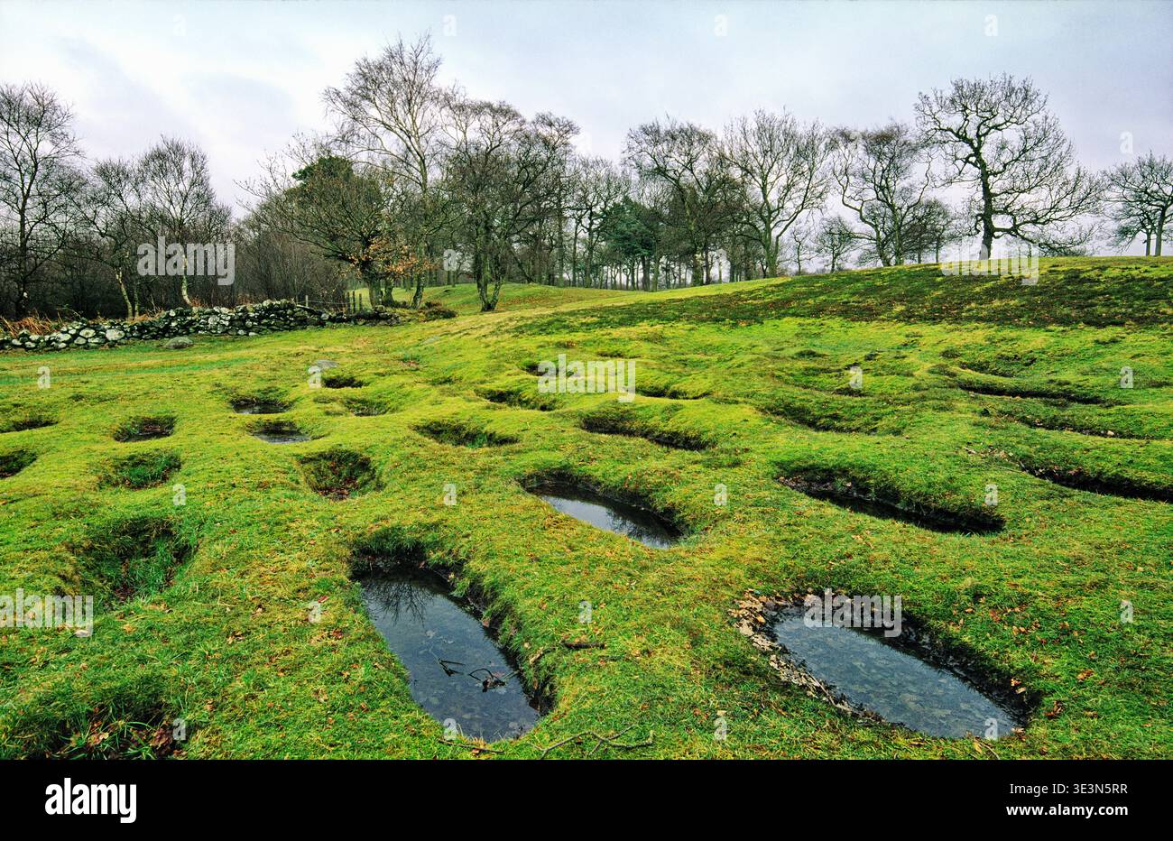 Roman Antonine Wall at Rough Castle, Central Region, Scotland. Lilia ...