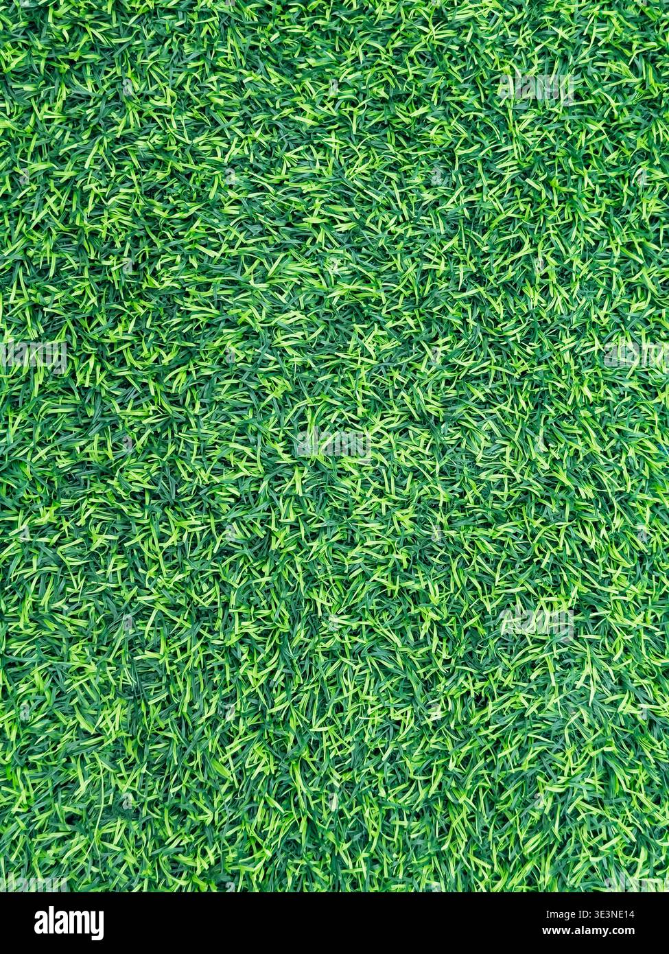 Textured surface of artificial grass Stock Photo