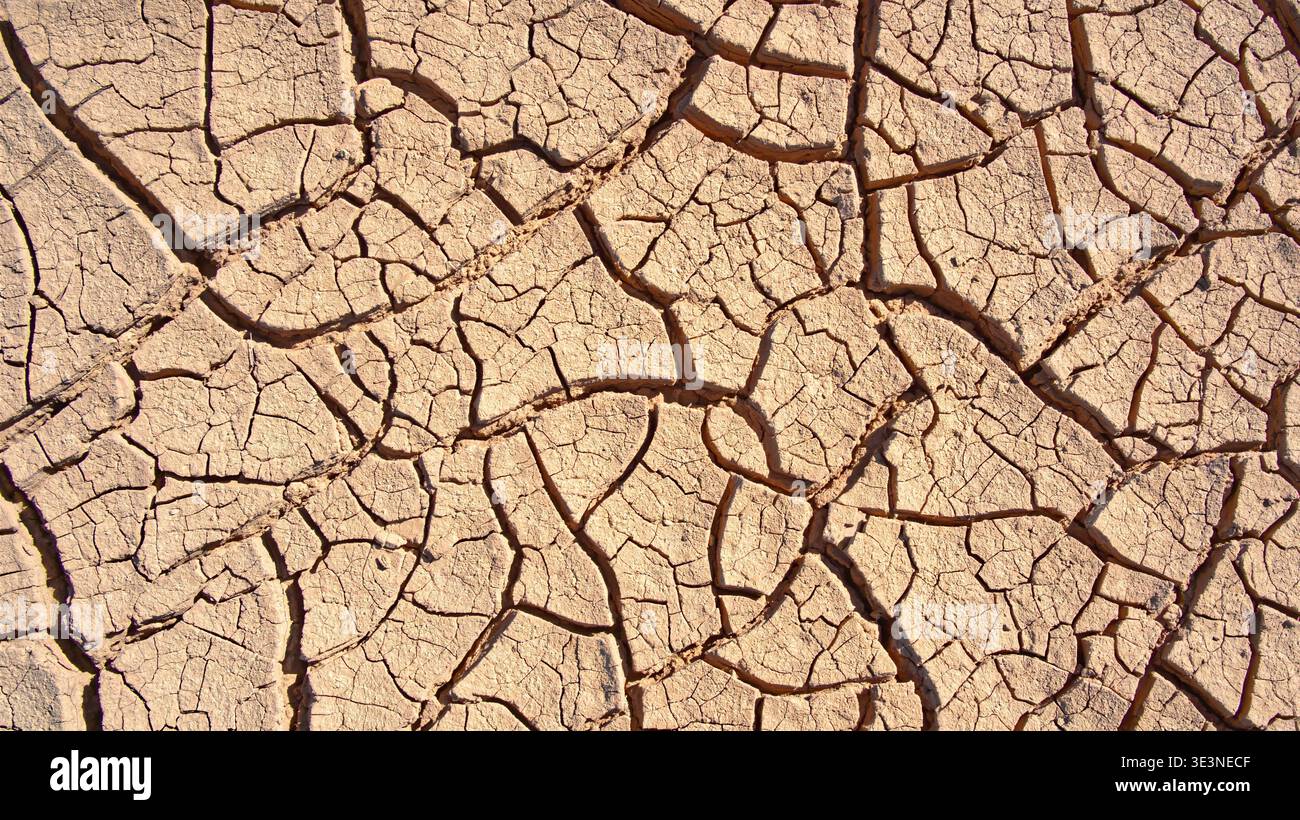 Dry cracked earth creating a textured pattern across the barren landscape, representing concepts like drought, desertification, global warming, and en Stock Photo