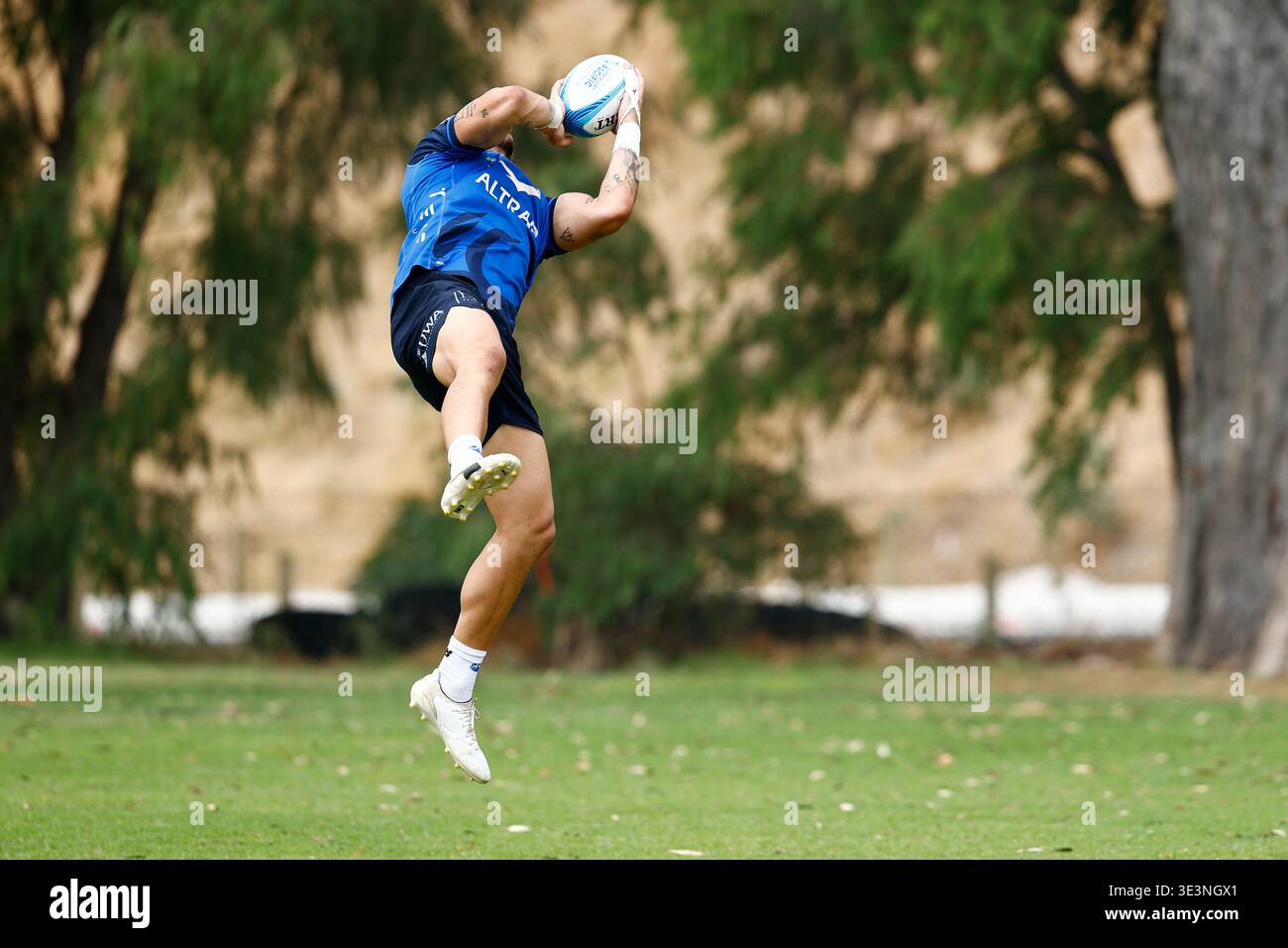 Uwa Rugby Zac Lomax practises his catching during a Western Force Super Rugby ...