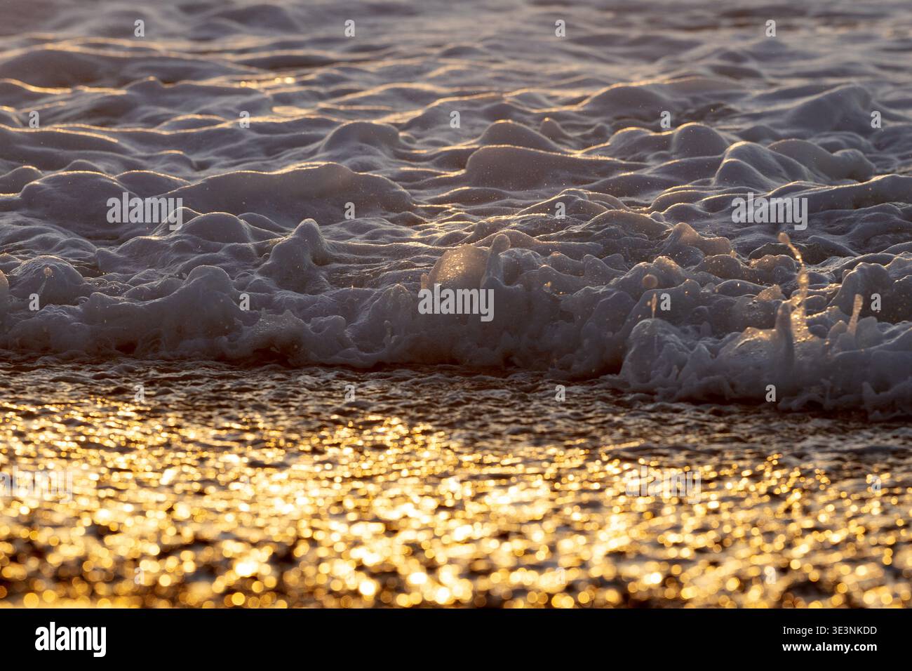 Waves breaking on pebble beach in golden light, Te Wahipounamu World ...