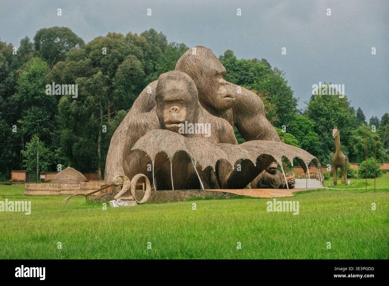 Bamboo mountain gorilla statue at the Kwita Izina Naming site ...
