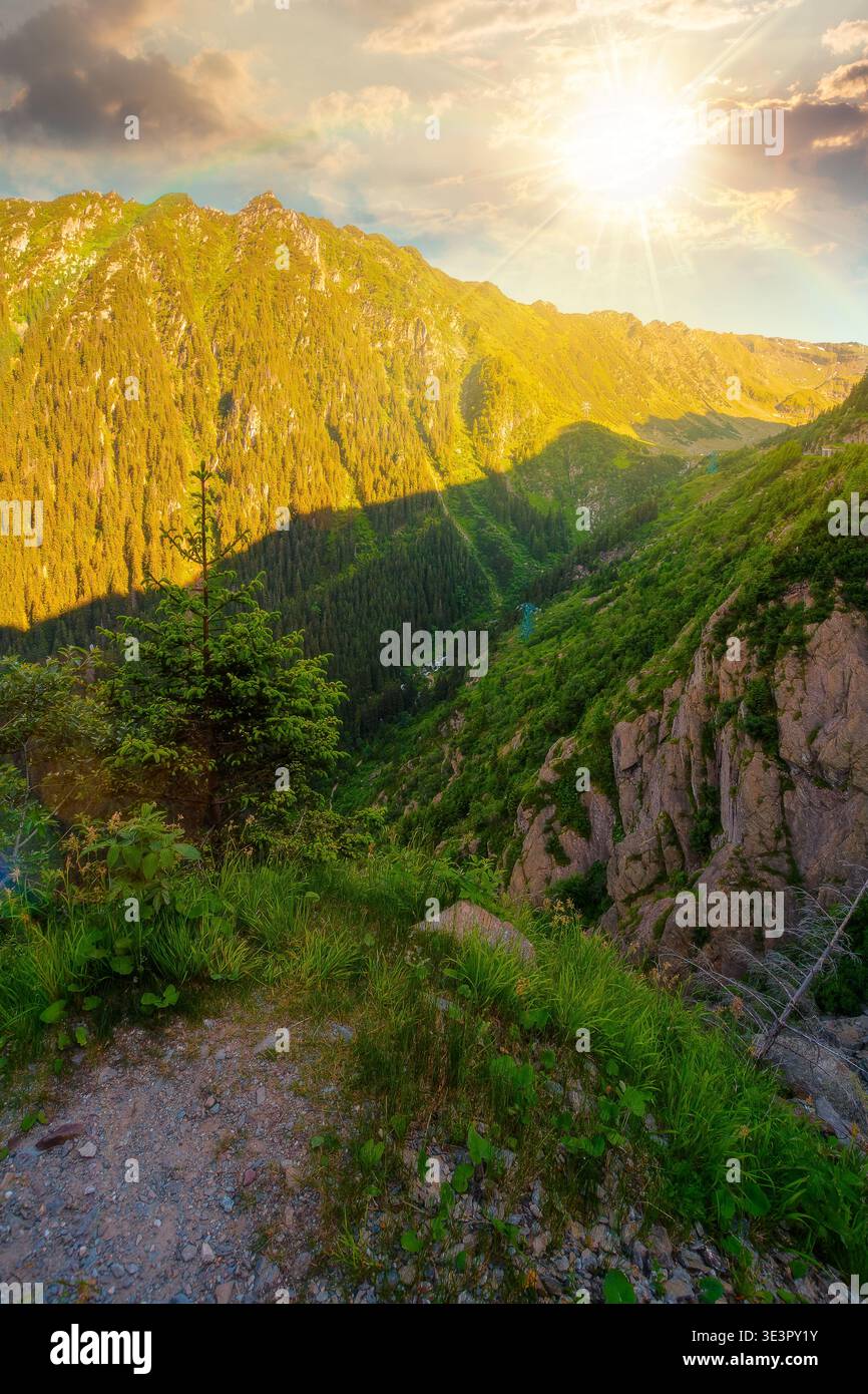 sunset over valley in summer mountains. Gorgeous mountainous landscape. Rocky cliffs and forested slopes under cloudy sky. Scenery of mountain ridge i Stock Photo