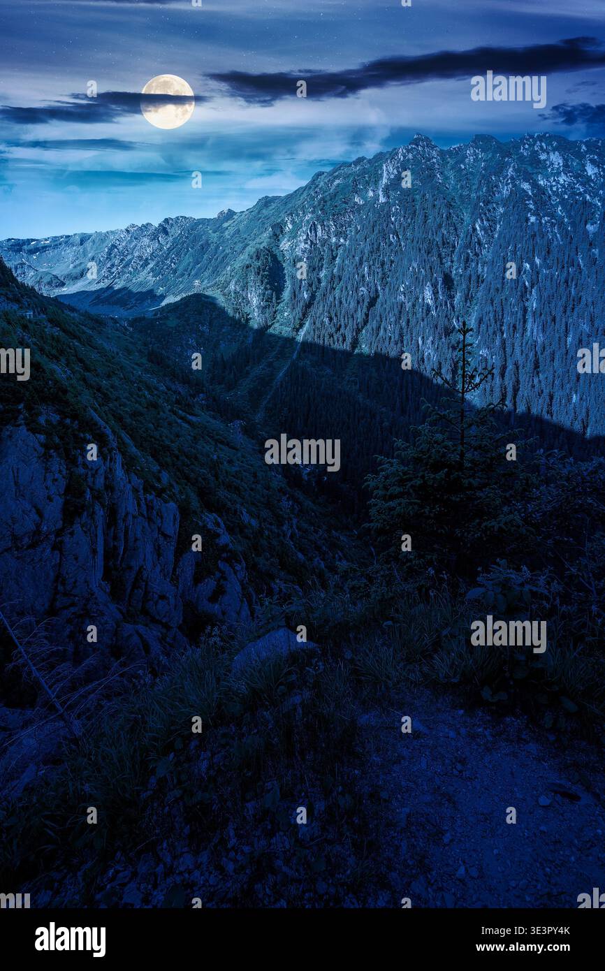 Valley in summer mountains at night. Gorgeous mountainous landscape. full moon over rocky cliffs and forested slopes under dark cloudy sky. Mysterious Stock Photo