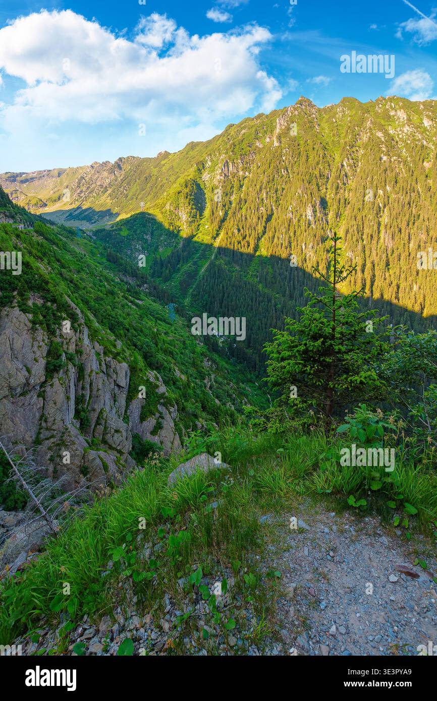 Valley in summer mountains. Gorgeous mountainous landscape of Carpathians. Rocky cliffs and forested slopes under blue sky. Scenery of Fagaras ridge o Stock Photo
