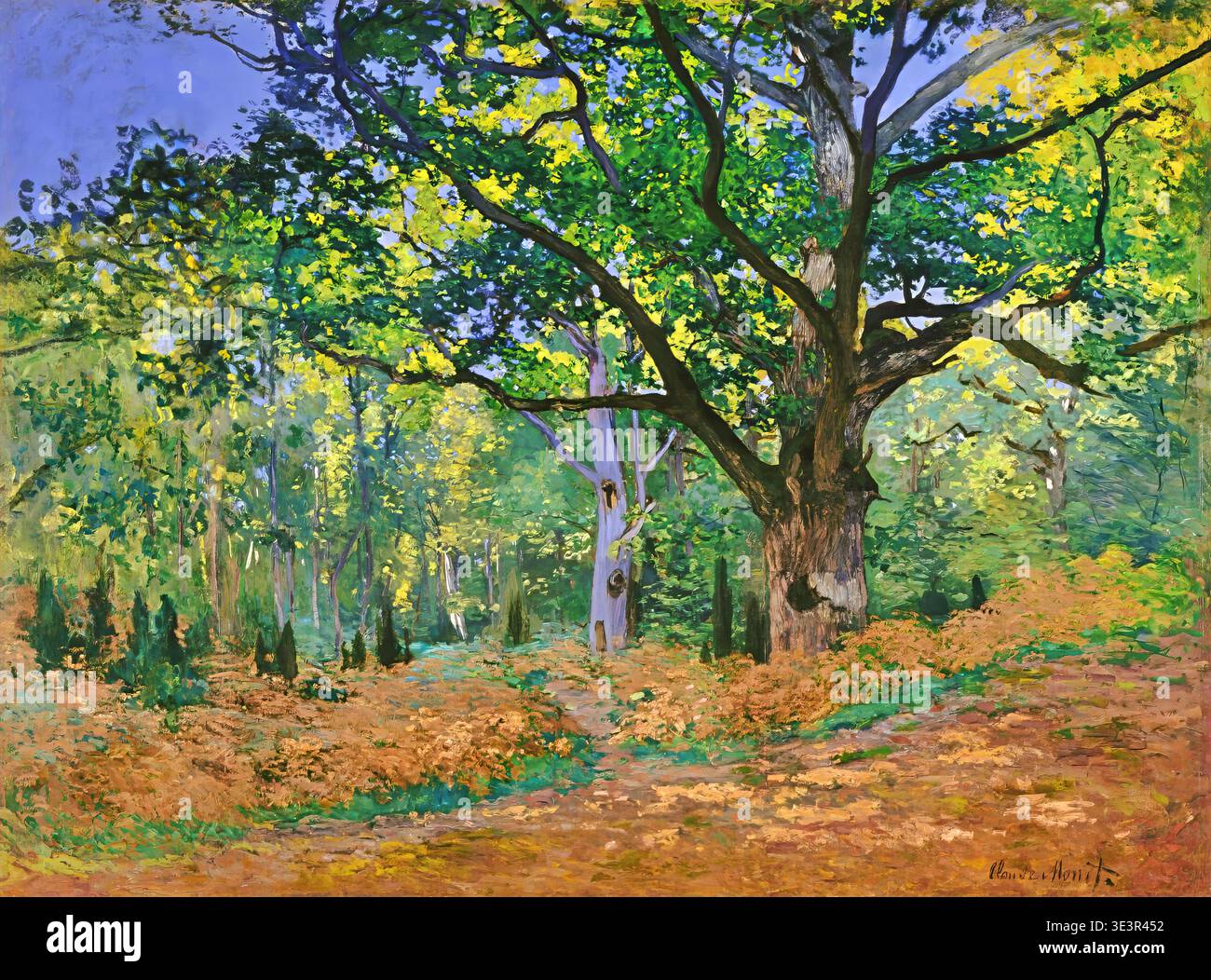 forest of fontainebleau'; monet hi-res stock photography and