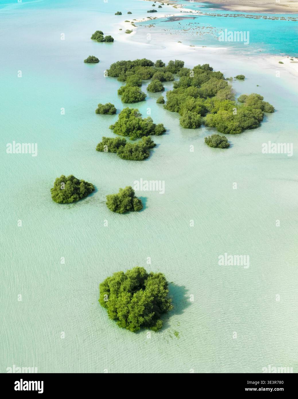 Aerial view of lush green mangroves scattered across the turquoise ...