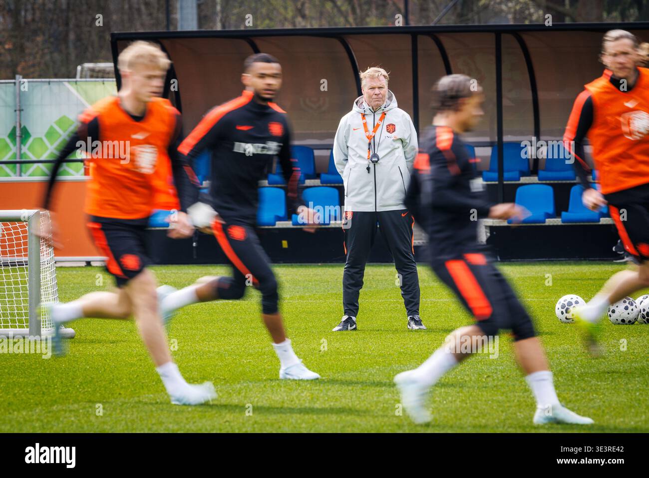 What Happened During the Training Session? What Happened During the Training Session?