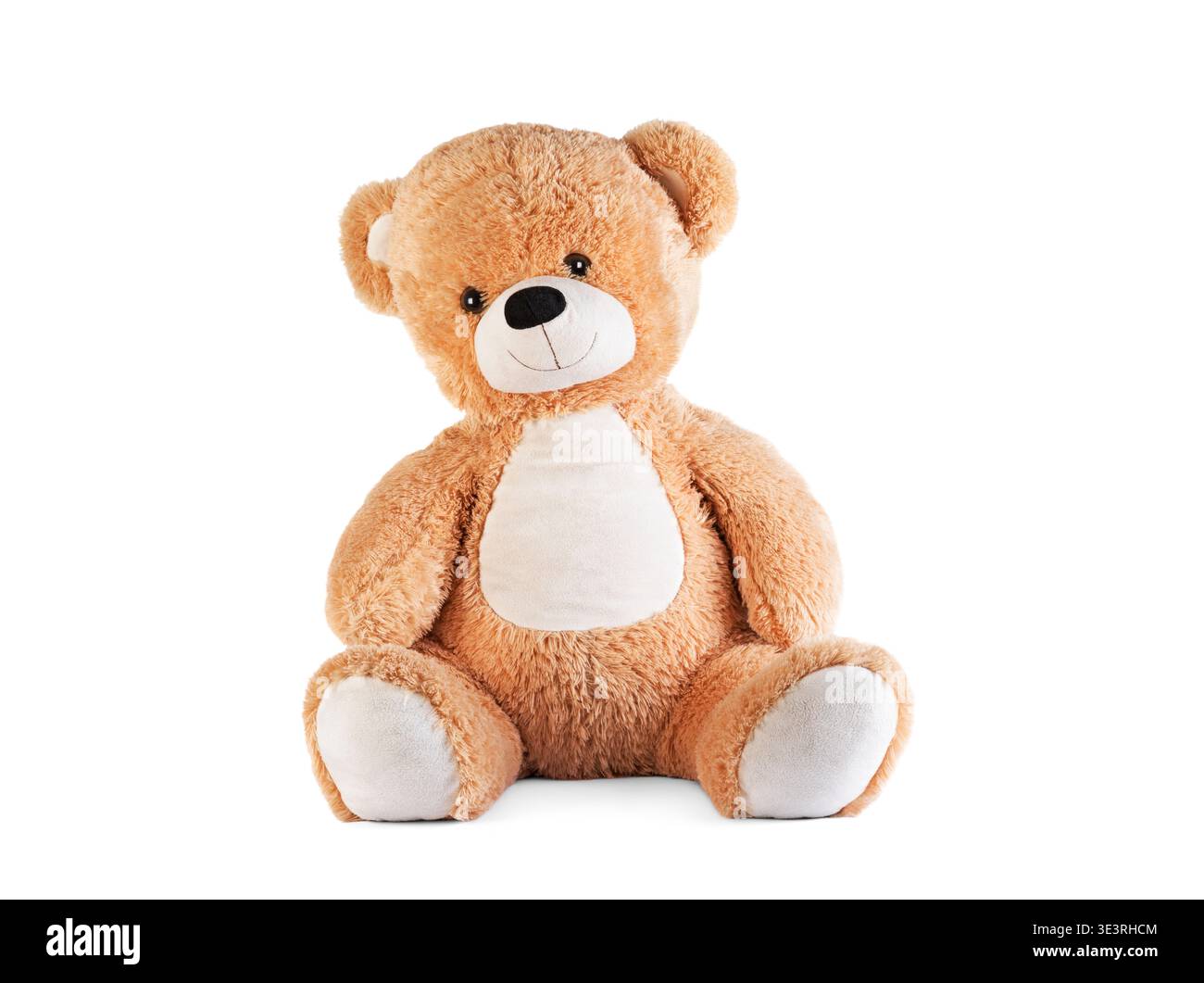 Big brown teddy bear on white background Stock Photo
