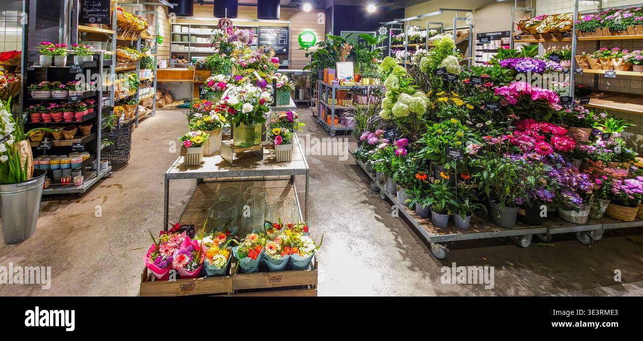 Berlin, Germany - August 09, 2025: Colorful flower shop interior features vibrant blooms and fresh arrangements throughout the space. - Smartphone Captured Stock Image