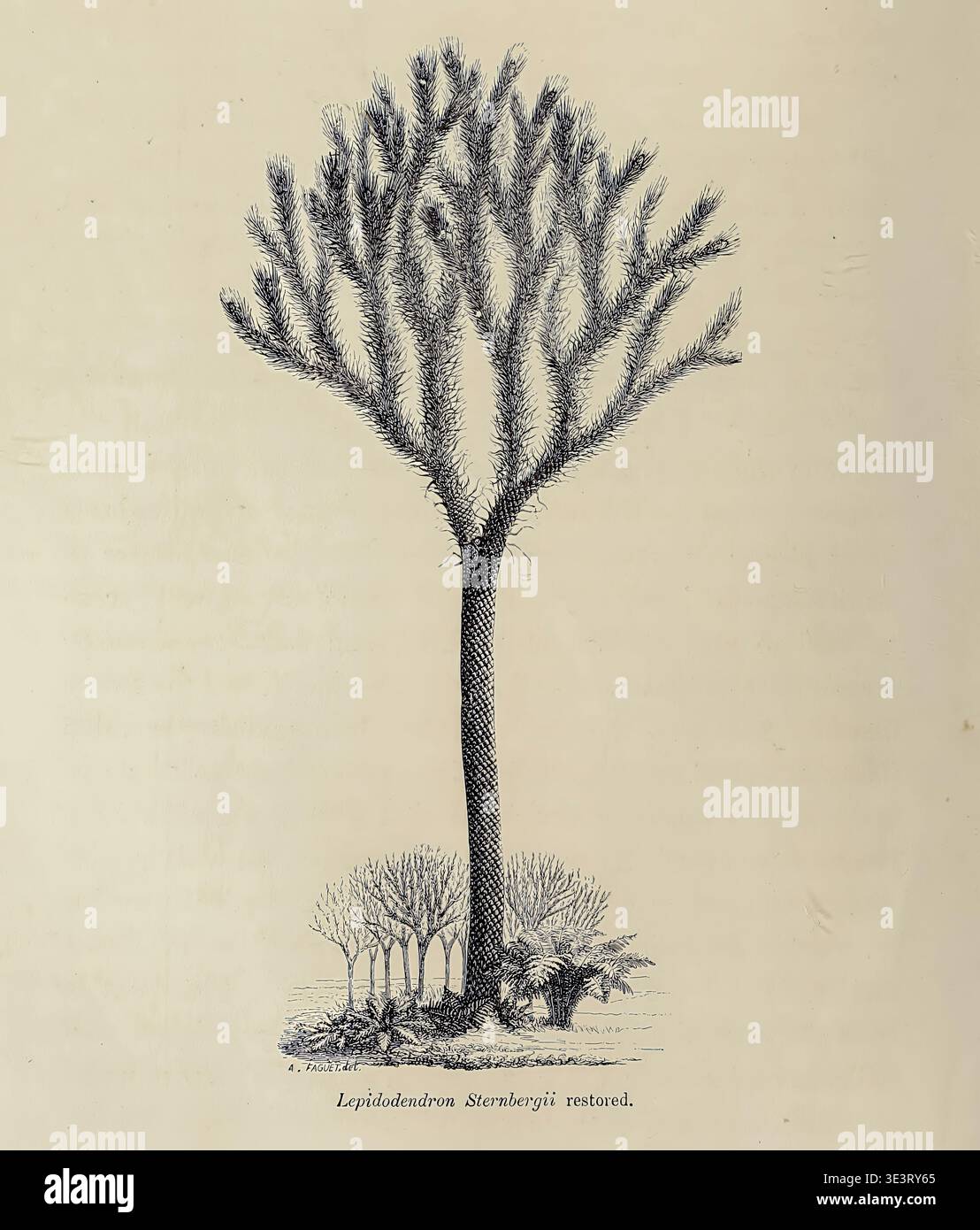 Prehistoric Plants That Are Extinct