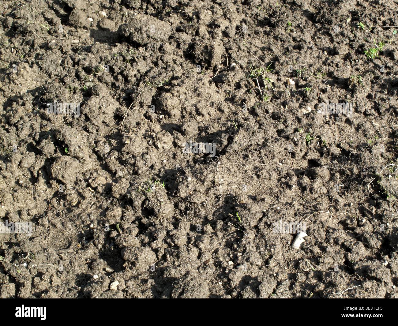 Clumpy Soil