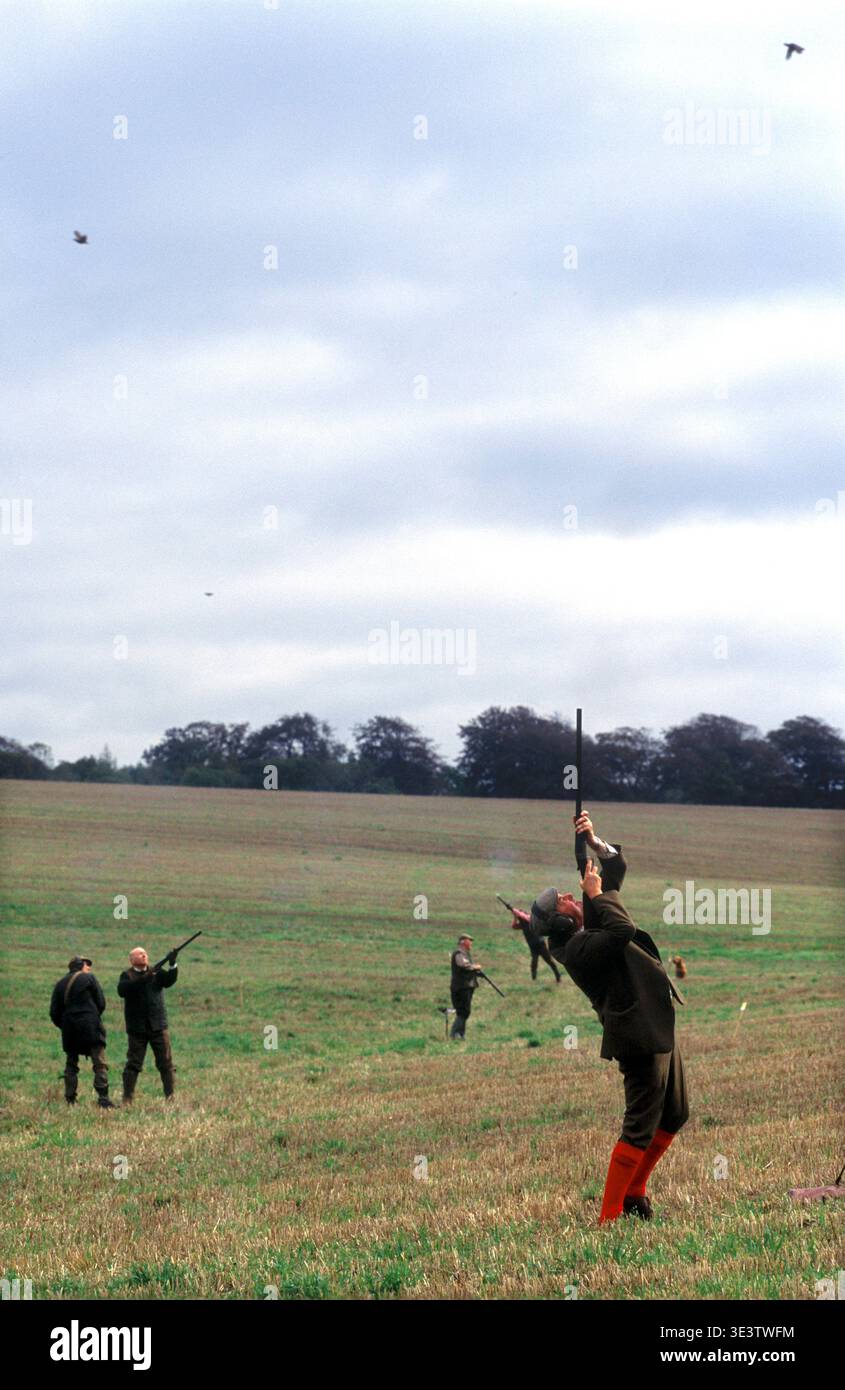 Shooting Partidge Partridge Shoot, Gurston Down, Wiltshire 2000s. Loader and shooter ...
