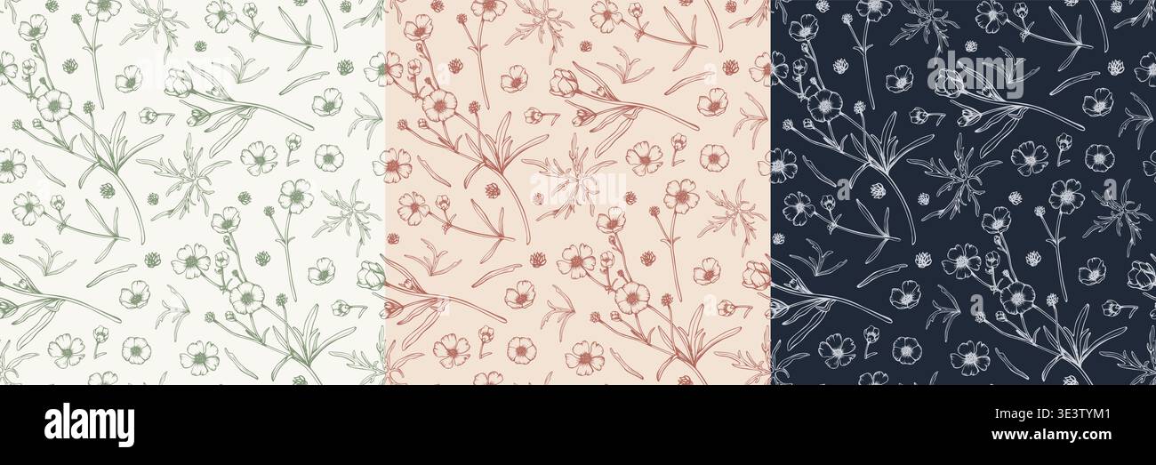 Set of seamless floral patterns with hand drawn ranunculus and buttercup flowers. Botanical line art vector illustration collection in pastel Stock Vector