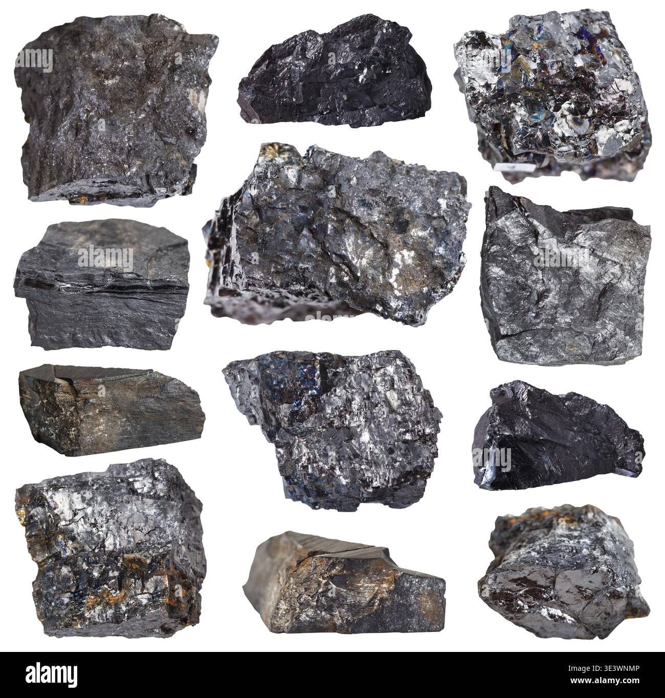 Collection of specimens of various coal minerals, against a white ...
