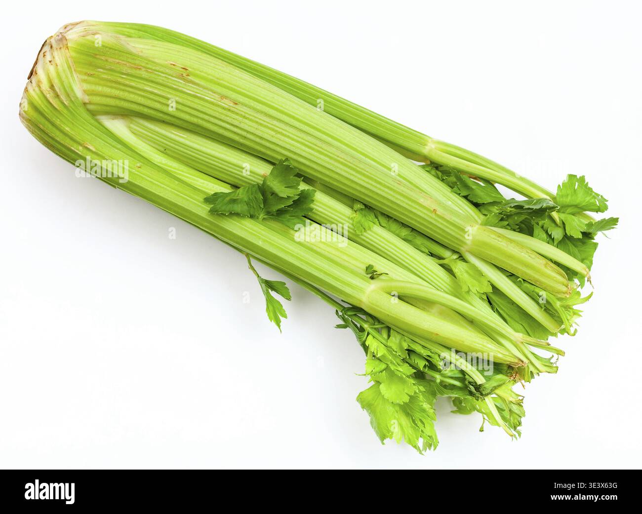 Fresh cut celery stalks on white background Stock Photo