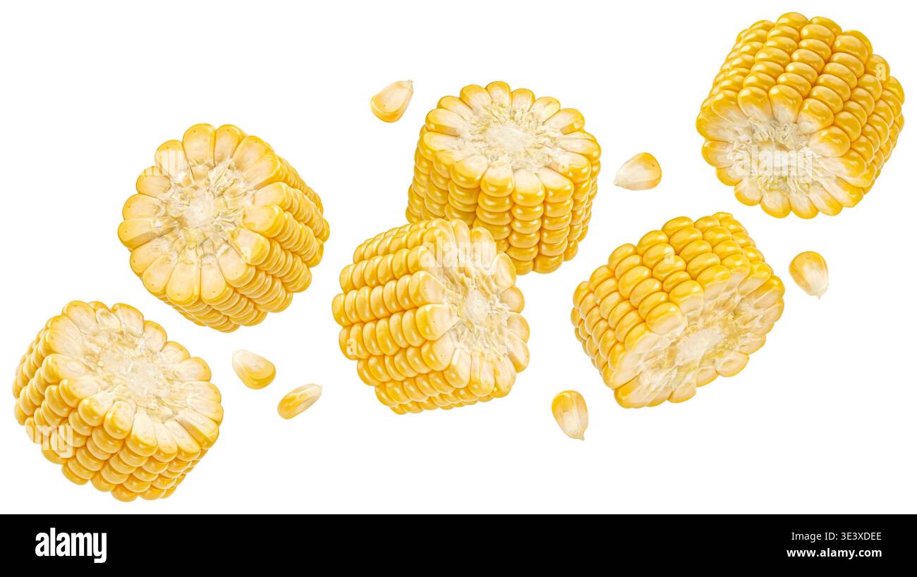 Falling corn cob slices isolated on white background Stock Photo
