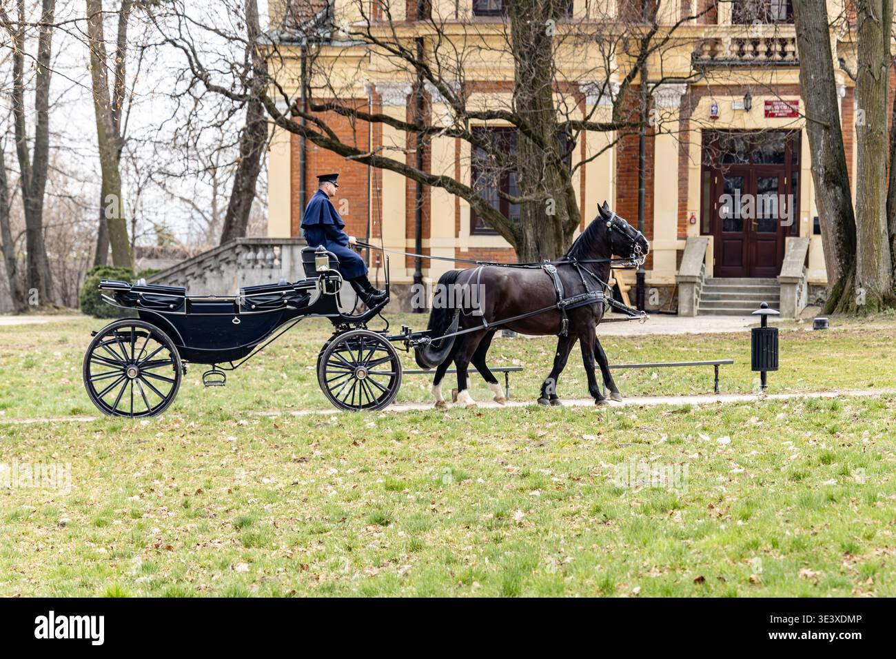 Historic horse-drawn carriage with a pair of horses passing in front of ...