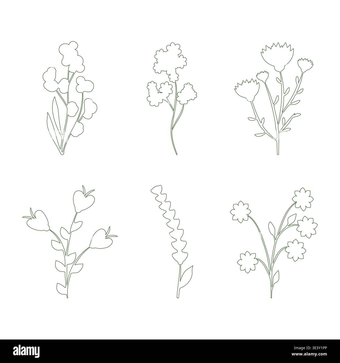 Delicate line drawings hi-res stock photography and images - Alamy