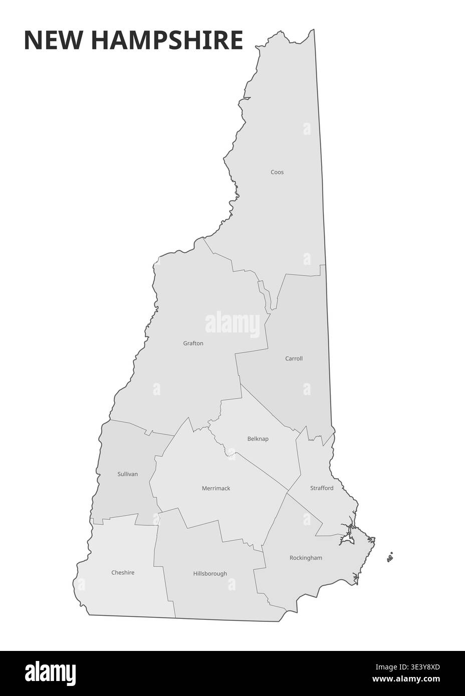 New Hampshire State Map with Counties Stock Vector