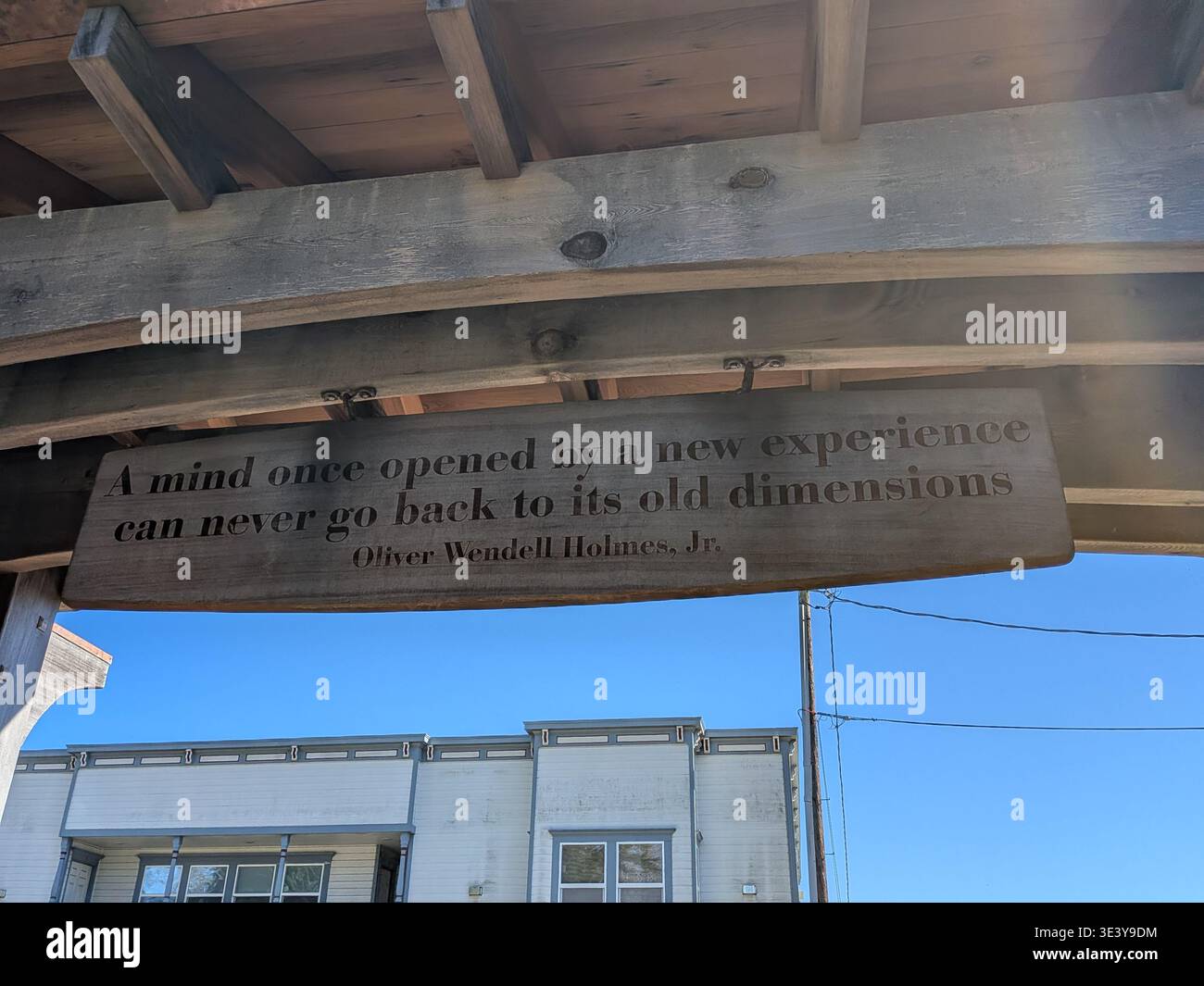 Ferndale, California, USA – January 15, 2025: Close-up engraved wooden quote by Oliver Wendell Holmes Jr. above park entrance, inspiring reflection on - Smartphone Captured Stock Image