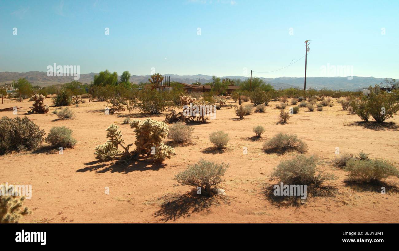 Cactus hill hi-res stock photography and images - Alamy
