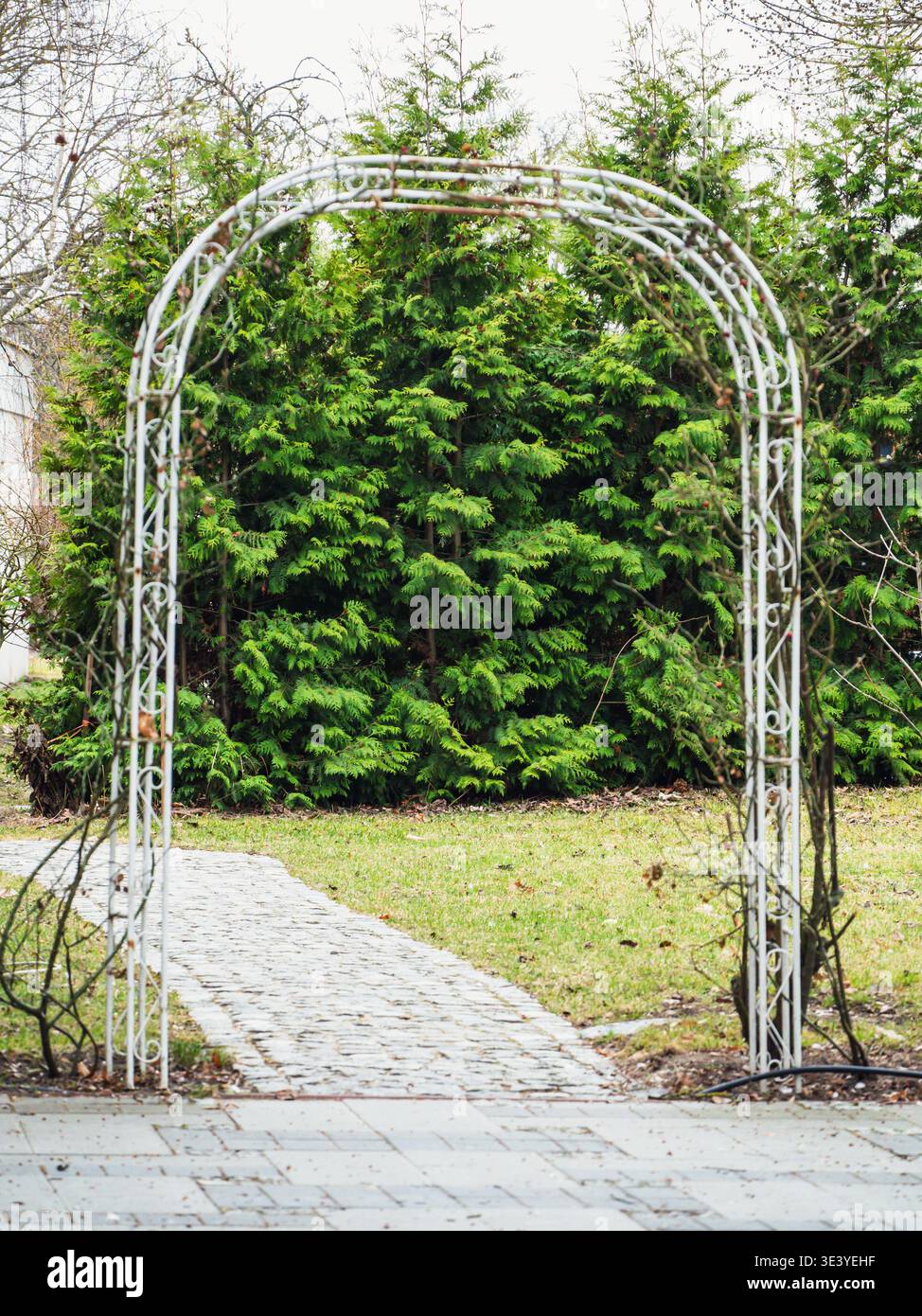 White metal arch frames a garden path. Evergreen trees stand tall ...