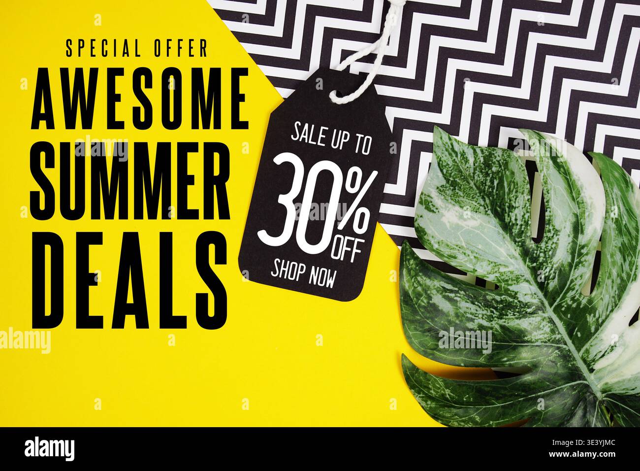 Hello Summer Sale 30% with Price tag and summer decorations on 
