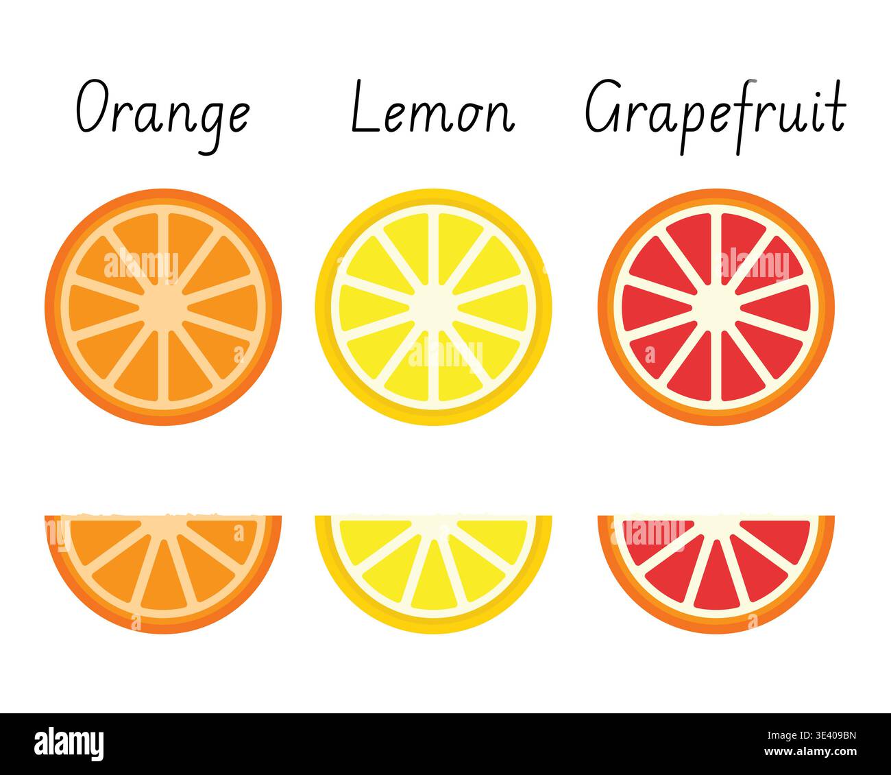 Citrus fruit slice vector set isolated on white Stock Vector